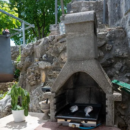 House Small Paradise *