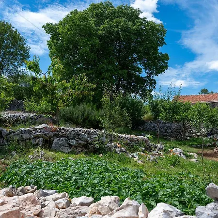 House Small Paradise Slivno (Split-Dalmatia)